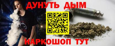 МДПВ Кингисепп