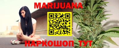 МДПВ Кингисепп