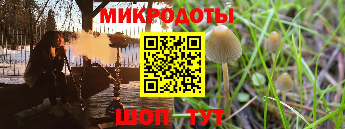 Коммунар  Псилоцибиновые грибы Psilocybine cubensis  Псилоцибиновые грибы Cubensis  Вход с VPN 